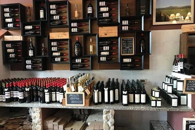 Exclusive Bolgheri from Florence: The Land of the Super Tuscan - Key Points