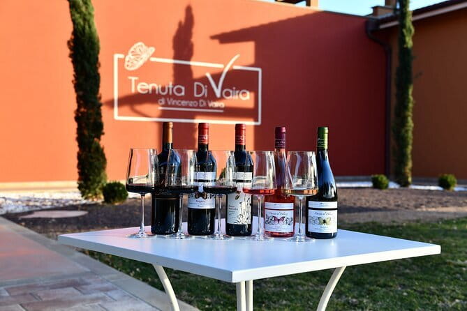 Exclusive Bolgheri from Florence: The Land of the Super Tuscan - Visiting Campo Alla Sughera: From Vines to Wine Cellars