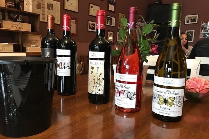 Exclusive Bolgheri from Florence: The Land of the Super Tuscan - Luxury, Comfort, and Expertise: What’s Included