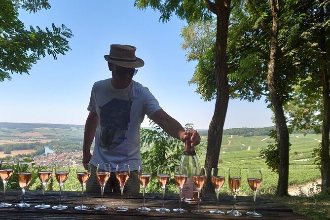 Exclusive Champagne Cellars & Dom Perignon Vineyards tour - A Stroll Along Avenue de Champagne