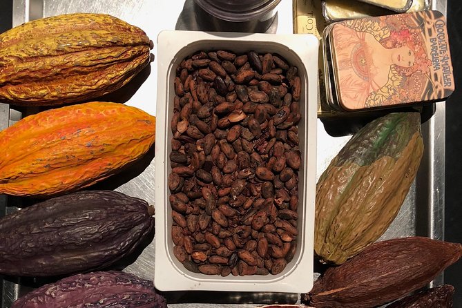 Exclusive Champagne & Chocolate Experience - Visiting a Family-Run Cava Producer and Tasting Organic Cavas