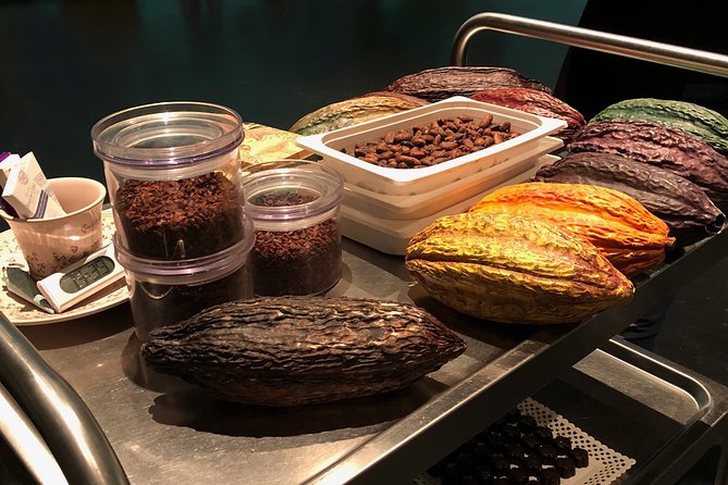 Exclusive Champagne & Chocolate Experience - Including an Optional Three-Course Lunch in the Village