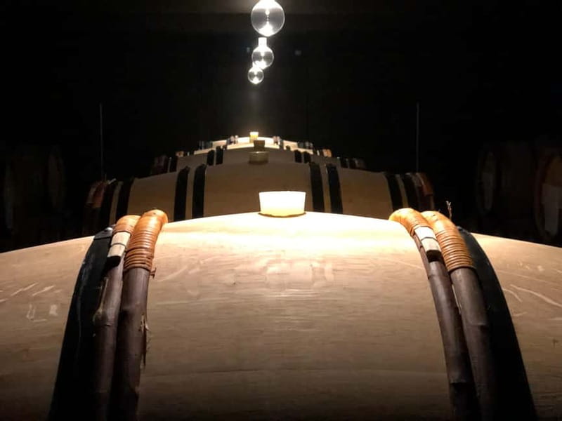 Exclusive Champagne tour: 2 family houses and restaurant - Exploring Reims and Épernay: Guided City Tours