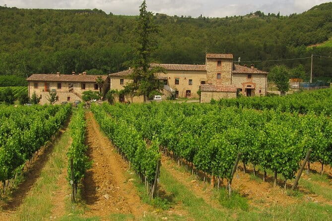 Exclusive Chianti Classico Day Trip from Florence - Savoring a Tuscan Three-Course Lunch