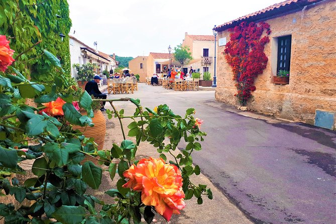 Exclusive Costa Smeralda Sightseeing Tour for 2/3 people - Enjoying Baia Sardinia and Its Coastal Charm