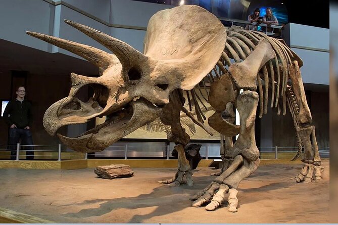 Exclusive Drumheller Private Tour from Calgary - Explore Drumheller’s Dinosaur Capital on a Private Day Trip from Calgary