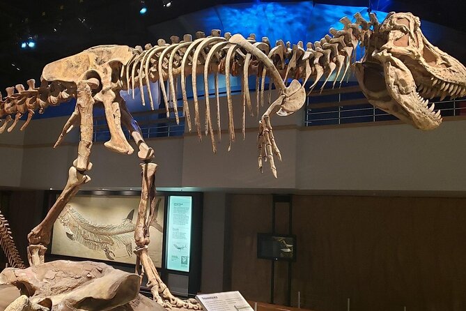 Exclusive Drumheller Private Tour from Calgary - Discovering Dinosaur Fossils at the Royal Tyrrell Museum