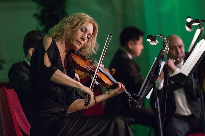 Exclusive Evening at Schönbrunn Palace: After-Hours Audiotour, Dinner, Concert - Practical Logistics and Meeting Point