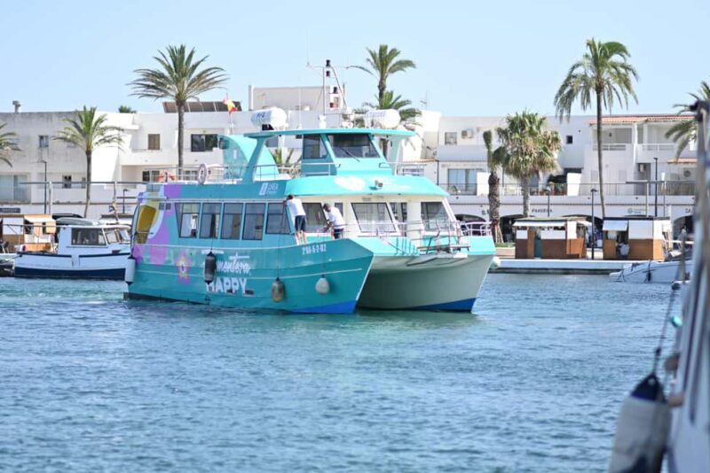Exclusive experience: Premium catamaran from Ibiza to Formentera - Comparing Similar Tours and Options