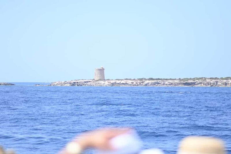 Exclusive experience: Premium catamaran from Ibiza to Formentera - Final Thoughts on the Premium Catamaran Experience