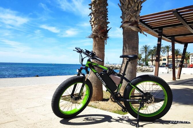 Exclusive Fat Tire E-Bike Tour in Palma - The Starting Point and Easy Logistics in Palma
