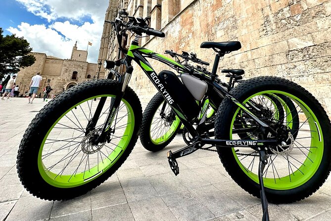 Exclusive Fat Tire E-Bike Tour in Palma - The Guide’s Role and Riding Experience