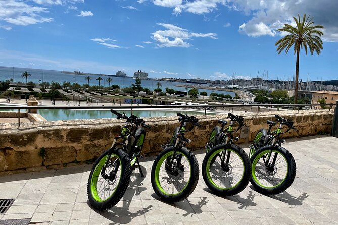 Exclusive Fat Tire E-Bike Tour in Palma - Timing, Crowd Levels, and Tour Pacing