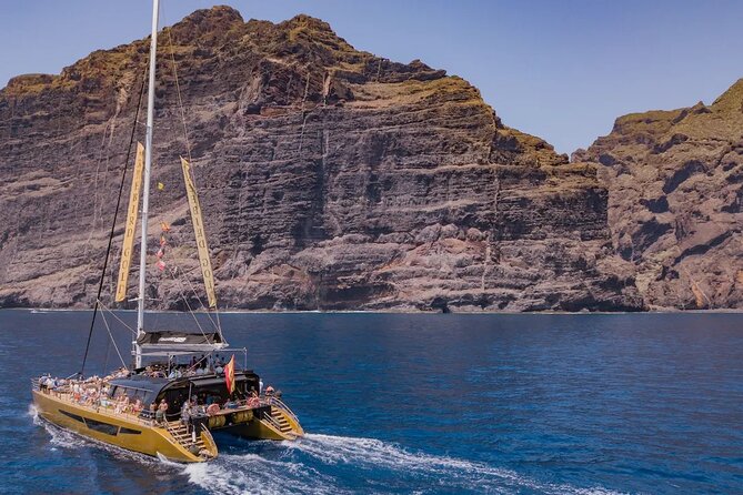 Exclusive Freebird Catamaran Whale & Dolphin to Masca From North - Practical Details and Accessibility