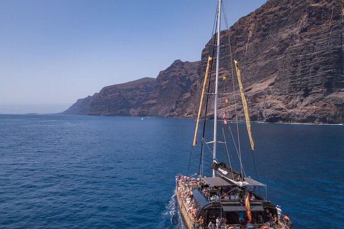 Exclusive Freebird Catamaran Whale & Dolphin to Masca From North - An Appreciated Guide and Customer Service