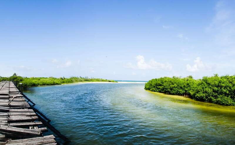 Exclusive Full Day Nature Expedition in Sian Ka'an - Wildlife Viewing Opportunities and Limitations