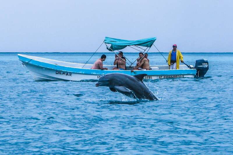 Exclusive Full Day Nature Expedition in Sian Ka'an - Suitability and Physical Considerations