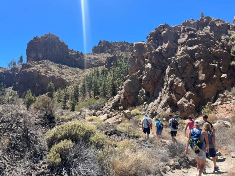 Exclusive hike on Mount Teide with a certified guide - Key Points