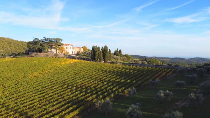 Exclusive Horseback Riding & Wine Tasting from Florence - The Charm of the Chianti Hills and Ancient Olive Groves