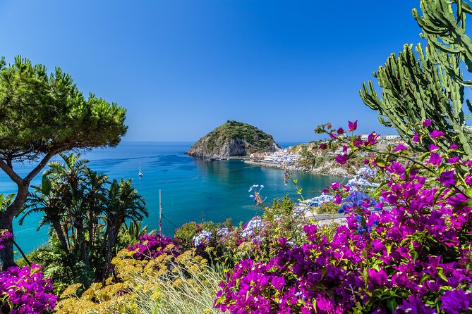 Exclusive Ischia Day Trip & Food Tasting with Top Guide and Driver from Naples - Key Points