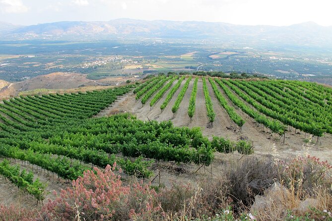 Exclusive Jeep Tour, South Crete, Winery, Donkeys, Secret Beach - Discovering the Hidden Beach of Stena