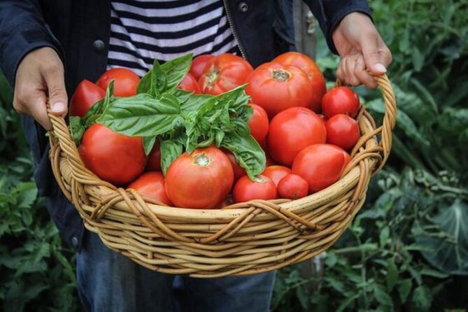 Exclusive Kefalonia Gems - Culture, Nature & Flavor - Practical Considerations and Recommendations