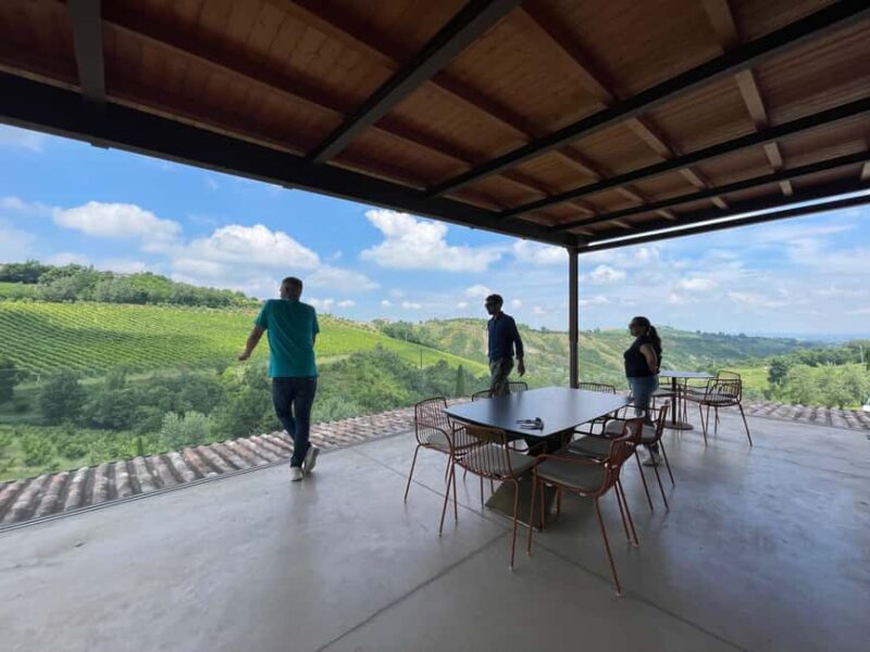 Exclusive Lambrusco Experiences - Uncover Emilia-Romagna’s Hidden Wine Treasures in Private Settings