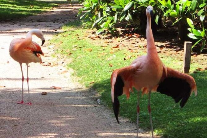 Exclusive Liberty Tour with aperitif included - Casa Galimberti and Casa Guazzoni: The Liberty Icons