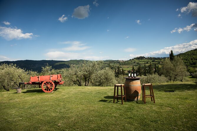Exclusive Lunch Tour and Wine tasting at a Chianti Classic Winery - Key Points