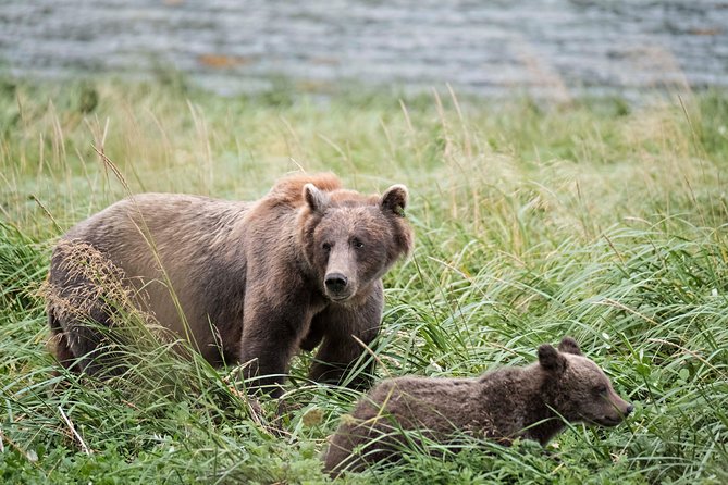 Exclusive Photography Tour to Haines - Skagway Departure - The Small Group Advantage and Overall Value