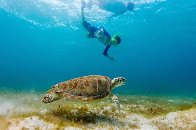 Exclusive Private Boat to El Cielo - Exploring Cozumel’s Second Largest Coral Reef