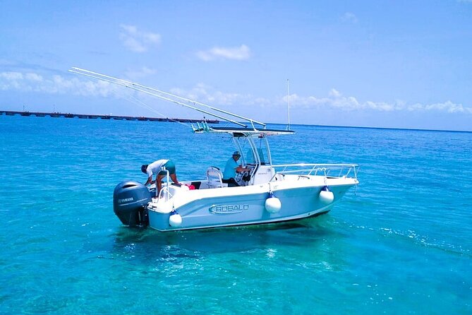 Exclusive Private Boat to El Cielo - All-Inclusive Snorkeling Gear and Refreshments