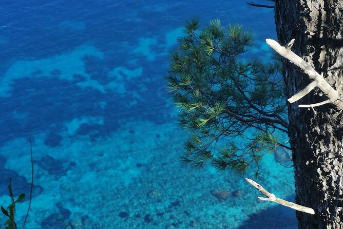 Exclusive Private Boat Tour in Italy - The Experience of the Skippers and Crew