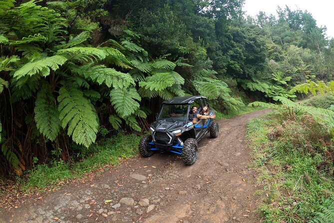 Exclusive Private Buggy Adventure: Forest and Mountains - Madeira’s Scenic Highlights: Pico Alto and Portela Viewpoint