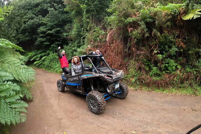 Exclusive Private Buggy Adventure: Forest and Mountains - Expert Guidance and Local Knowledge