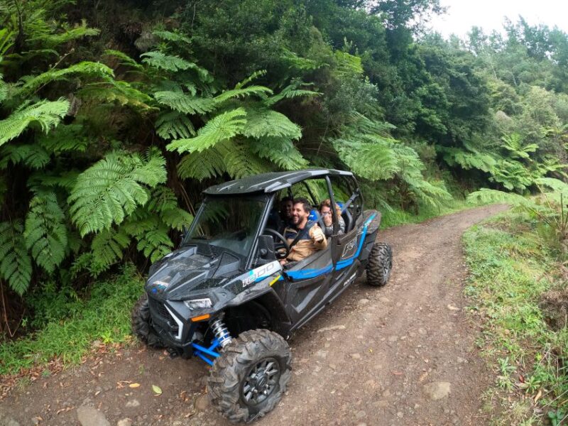 Exclusive Private Buggy Adventure: Forest and Mountains - Key Points