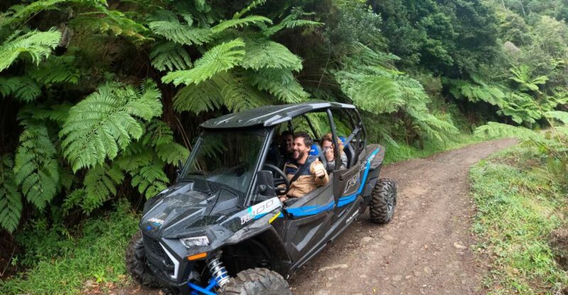 Exclusive Private Buggy Adventure: Forest and Mountains - Scenic Stops Along the Route: From Pico Alto to Portela