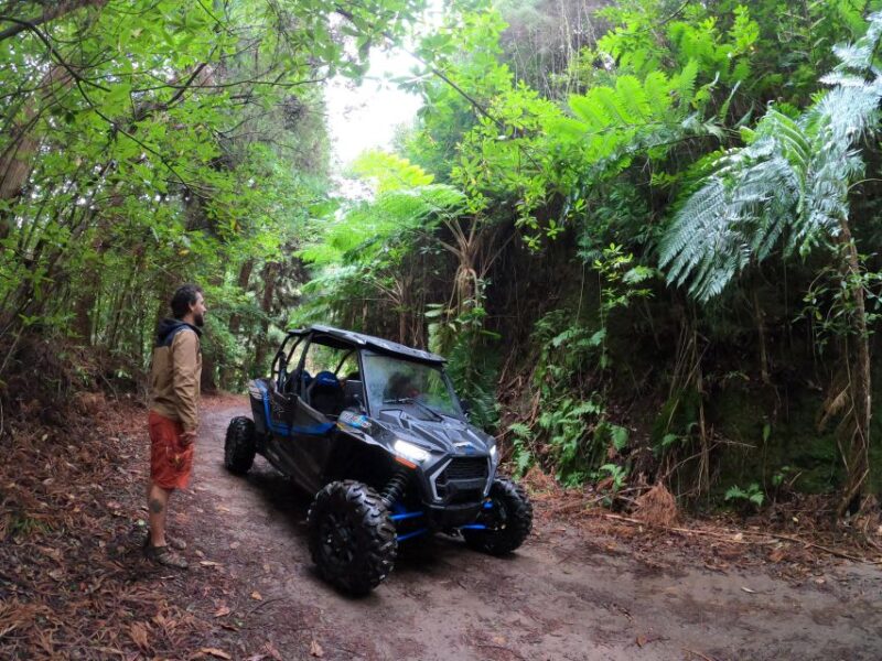 Exclusive Private Buggy Adventure: Forest and Mountains - The Adventure of Driving a 4x4 in Madeira’s Terrain