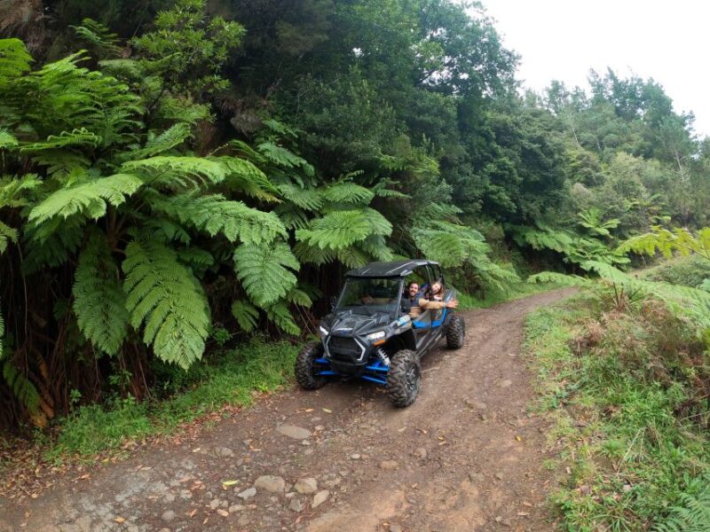 Exclusive Private Buggy Adventure: Forest and Mountains - Expert Guides and High-Quality Equipment