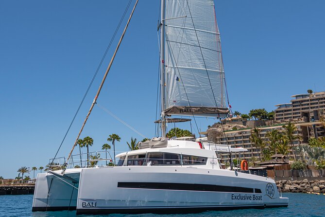 Exclusive Private Charter in Gran Canaria - Experience a Private Catamaran Tour in Gran Canaria for an Intimate Water Adventure