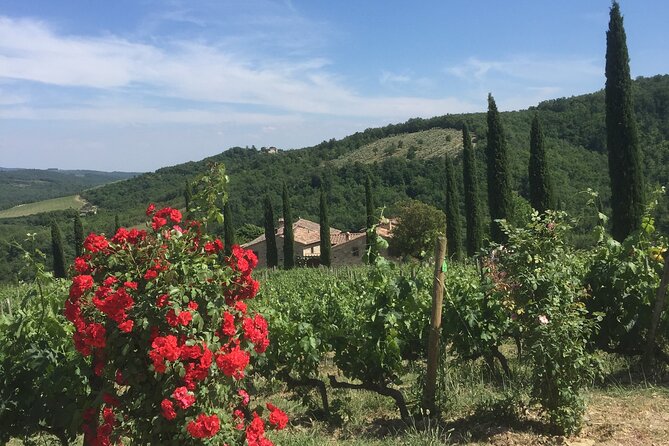 Exclusive Private tour To Siena and San Gimignano - Practical Details and Meeting Point Logistics