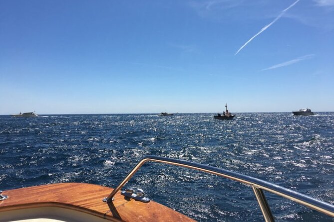 Exclusive Private VIP Capri Boat Experience on a Gozzo - Key Points