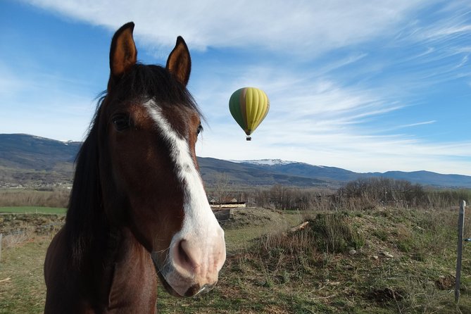 Exclusive Pyrenees Hot Air Balloon Barcelona - Key Points