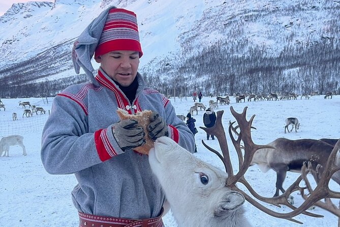 Exclusive Reindeers Experience in small groups, Tromso - Cozy Refreshments in a Heated Cabin