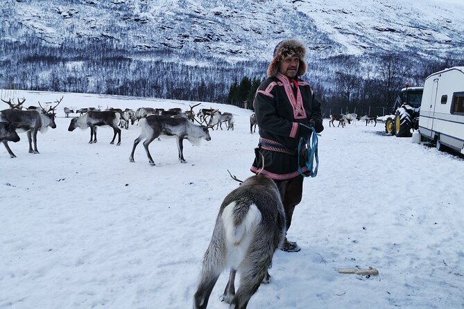 Exclusive Reindeers Experience in small groups, Tromso - Shopping for Sami Handicrafts and Souvenirs