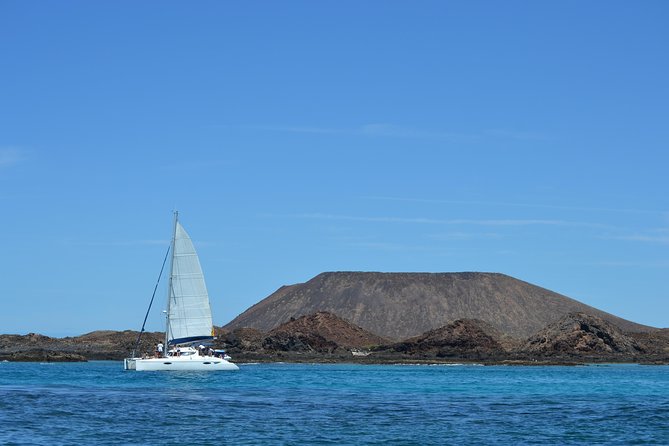 Exclusive Sailing Catamaran Experience to Lobos Island with lunch and drinks - Exploring Lobos Island from the Anchor