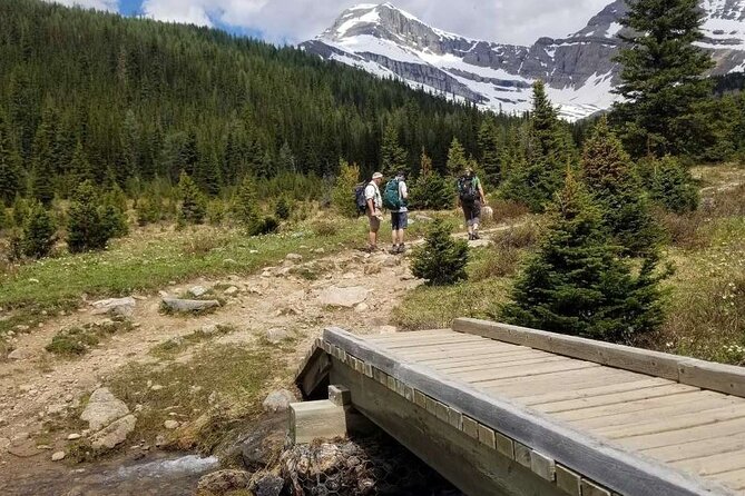 Exclusive Skoki Backcountry Guided Hiking in Lake Louise with Van Shuttle - Guided Hike with Knowledgeable Experts