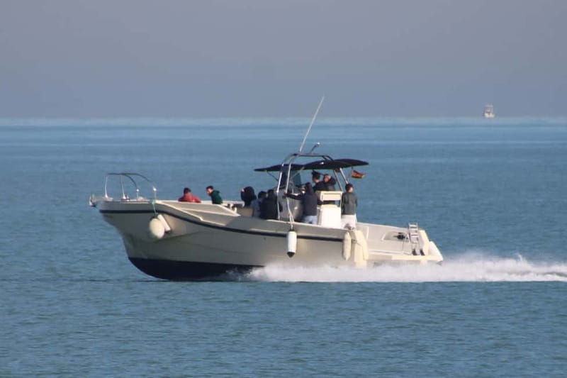 Exclusive sunset cruise in Valencia, Sunset - Key Points