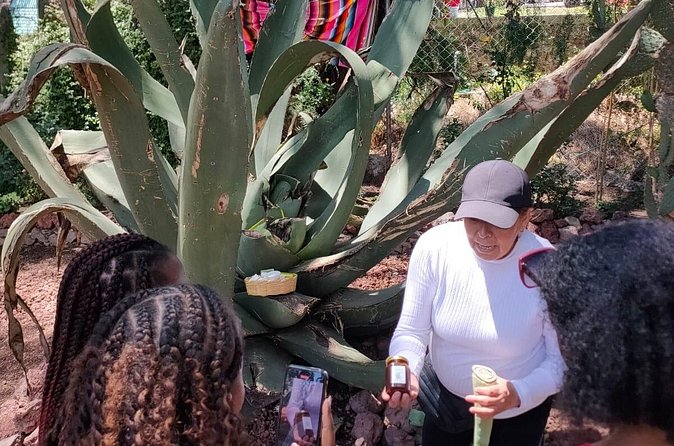 Exclusive Teotihuacán Pyramids, Cave & Hot Air Balloon Ride - Lunch and Rest at Local Restaurants