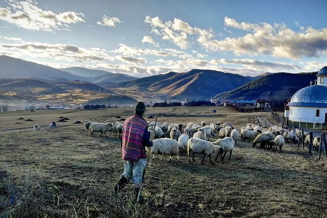 Exclusive Tour: Corvin Castle, Alba Iulia and traditional villages from Sibiu - The Value of a Private, Guided Experience